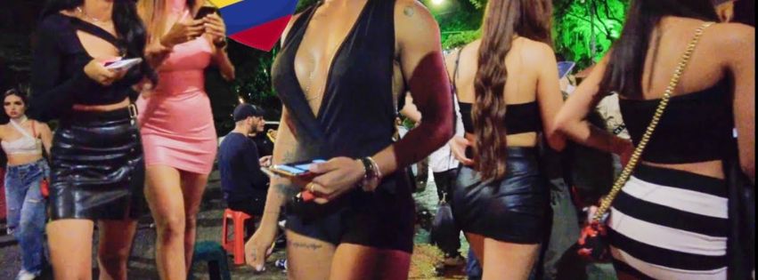 provenza medellin