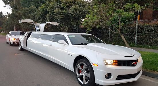 Medellin bachelor party