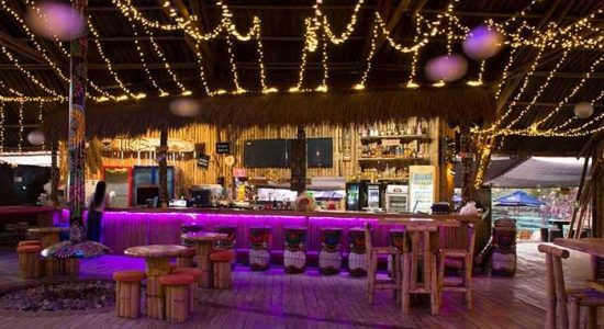 Best Medellin Restaurants