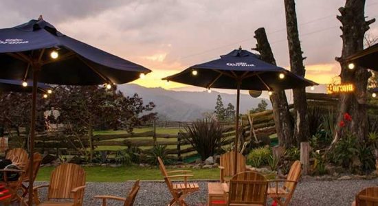 Best Medellin Restaurants